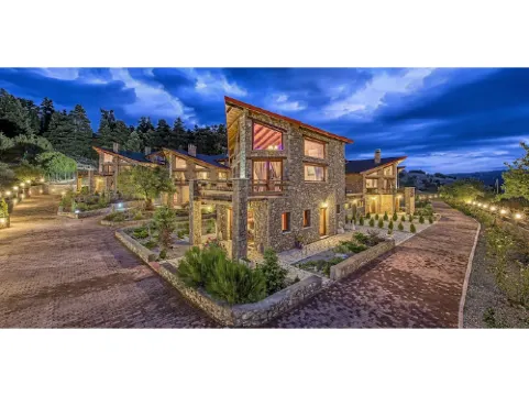 VIP Chalet Livadi Arachova