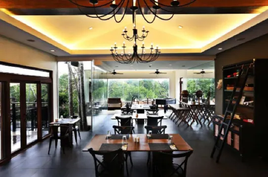 The Funny Lion - El Nido