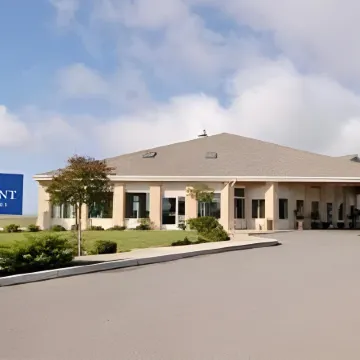 Quality Inn & Suites Willows