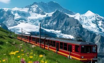 Hotel Blume Interlaken