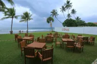 Citrus Hikkaduwa