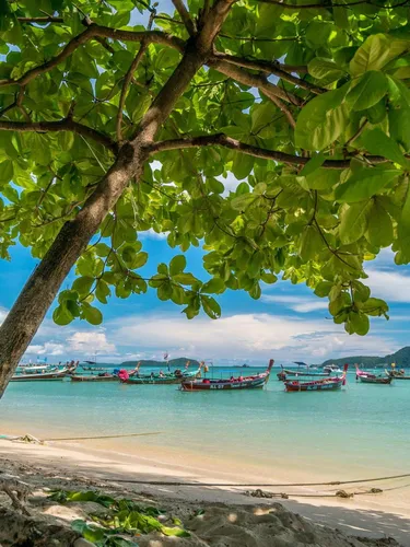 รูปภาพของRawai beach 1br apartment at The Title