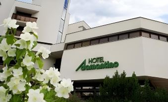 Hotel Adamantino