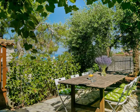 Zollia Hotels in Vrsar