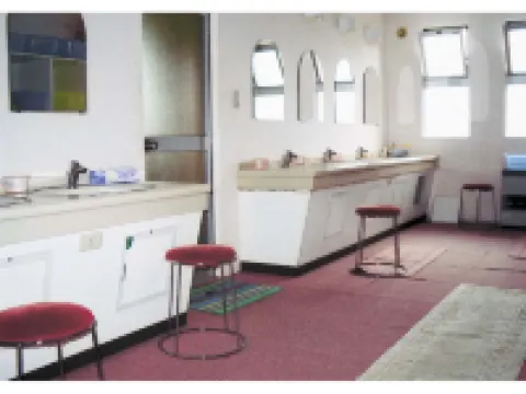 Hotaka Kogen Shirakaba