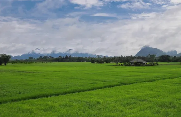 位於寬卡暖的2卧室獨棟房屋-136平方米|帶2個獨立浴室