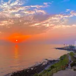 Jeju Stay Haven