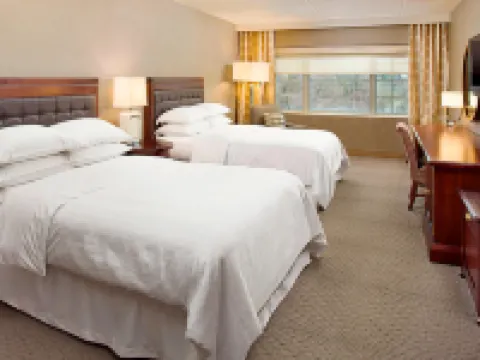 Sheraton Rockville Hotels near The Square at Rockville