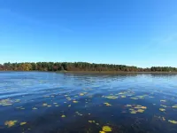 PJ's Cedar Cabin - Luxury-Rustic at its Best!