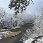 Off Grid tiny cabin on riverfront property