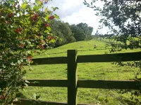 Charming Detached Completely Private Stone Built Open Plan Cosy Retreat For 2