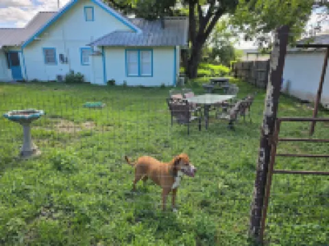 Charming, unique 3-bedroom house in Junction with AC, WiFi, Pet Friendly Hotels in Junction