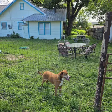 Charming, unique 3-bedroom house in Junction with AC, WiFi, Pet Friendly