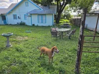 Charming, unique 3-bedroom house in Junction with AC, WiFi, Pet Friendly