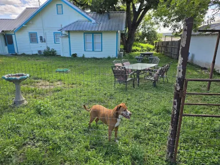 Charming, unique 3-bedroom house in Junction with AC, WiFi, Pet Friendly