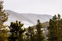 Cozy Snow Globe Like Cabin in Blue River Forest 7 Min to Breck. on Bus Route!