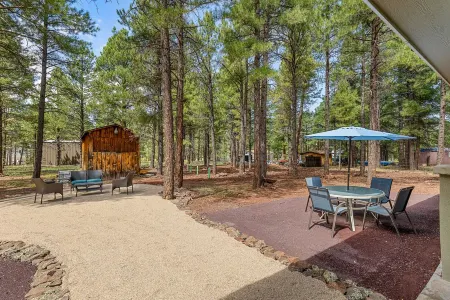 New Home in the Pines – Minutes to Flagstaff & Grand Canyon Adventures!