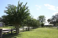 Rocket City Retreat Studio Titusville Private Parking Spacex Launch Pet friendly