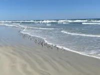 Beautiful Ocean Front First Floor Condo!