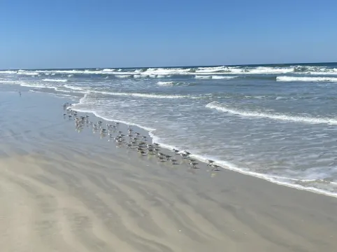 Beautiful Ocean Front First Floor Condo!