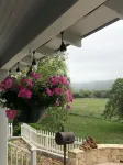 Cottage on the Frio River