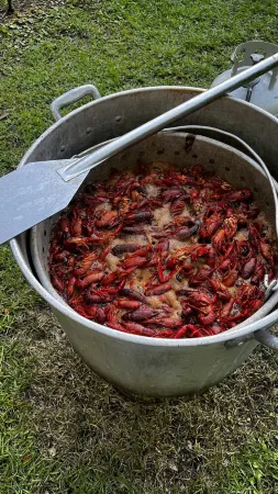 Majestic bayfront home. 450’ pier w/ boat access, crabbing, fishing, & swimming. Отели в г. Гранд Айл