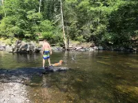 Charming Creekside Family Cabin, 15 Minutes to Falls, Golf, Waterfalls & More.