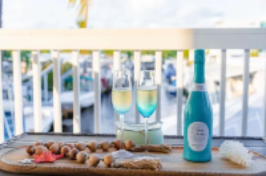 Stary Net - Ocean Waterfront 3BR 3BA Home