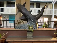 Kona Condo with all the comforts of home