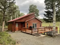 Arrowhead Sanctuary!! Beautiful Cabin! Deck with Fire Pit & Incredible Views!