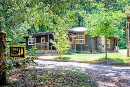 Little Cabin in the Woods