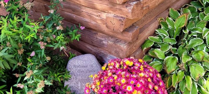 Cozy cabin on the bank of Bear Creek with a hot tub to relax in! Hotels in Pine County