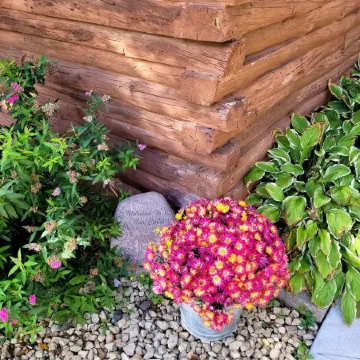 Cozy cabin on the bank of Bear Creek with a hot tub to relax in!