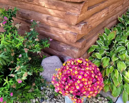 Cozy cabin on the bank of Bear Creek with a hot tub to relax in! Hotels in Pine County