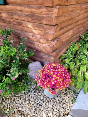 Cozy cabin on the bank of Bear Creek with a hot tub to relax in!