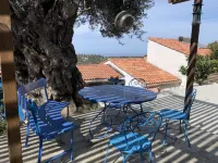 Maison Romantique Avec Splendide vue mer et Olivier Millénaire Hotel a Lumio