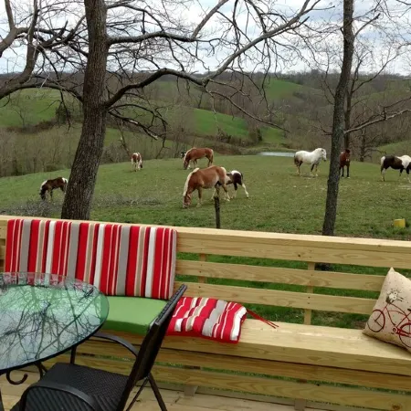Little White Cottage-Country Setting In Town Just 5 minutes to The Ark Encounter