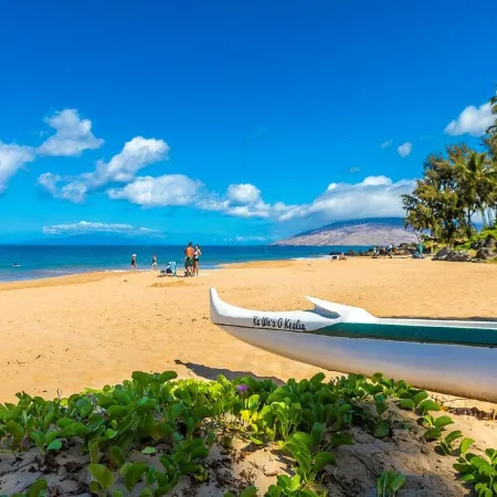 Beautifully upgraded condo in Maui Vista steps from world class beaches.