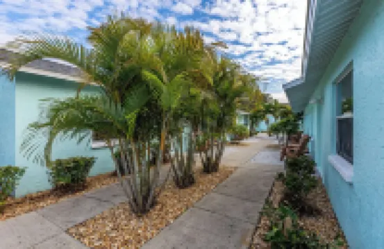 Luxurious 2 bedroom near Innisbrook Golf Resort!