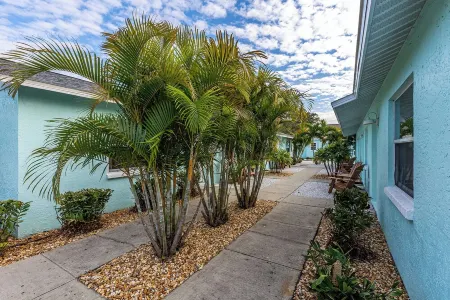 Luxurious 2 bedroom near Innisbrook Golf Resort!