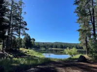 Caribou Cabin Outdoor Deck w Firepit Table & TV