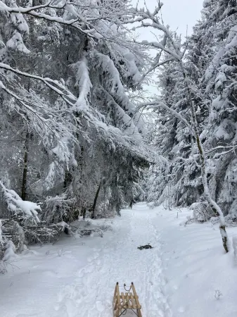 Fantastic Vacation Apartment "Waldhonig" Отели рядом с достопримечательностью «Вальдвипфельвег»