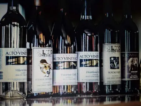 * Best Location on the Wine Trail! * Hiking Trail 1 min away * Wi-Fi * Отели в г. Альто Пасс Пресинкт