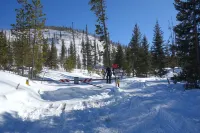 Wonderful 3 Bed, 3 Bath Condo, River and Forest Views, Steps from Shuttle.