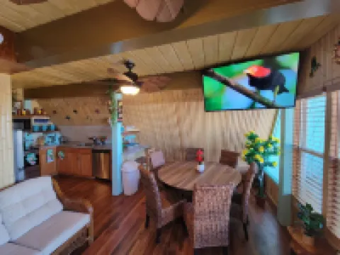Beachfront Pathway Through the Dune onto the Beach