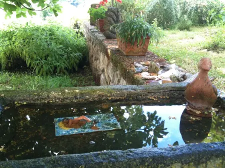 Artistic loft in the countryside between Orvieto and Lake Bolsena