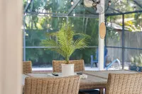 NEW! Heated Pool Home Hotels in Safety Harbor