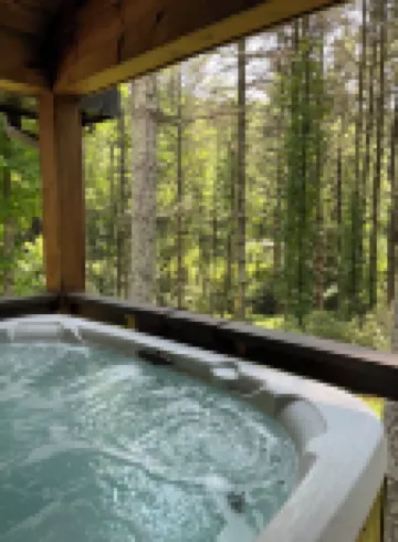 Relaxing Bright Mountain Getaway w/ Hot tub - Newly Renovated Cashiers Area Home Hotels in Hamburg