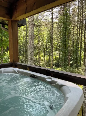 Relaxing Bright Mountain Getaway w/ Hot tub - Newly Renovated Cashiers Area Home
