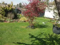 Cozy vacation home Hotels in Caputh
